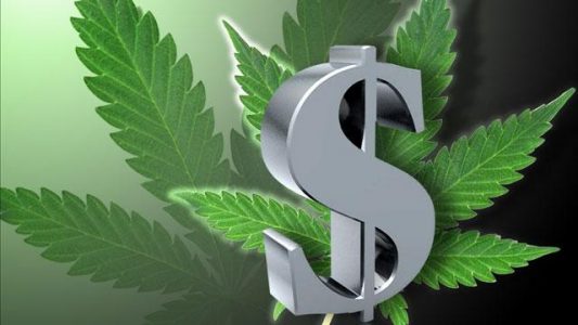 Medical-Marijuana-Taxation
