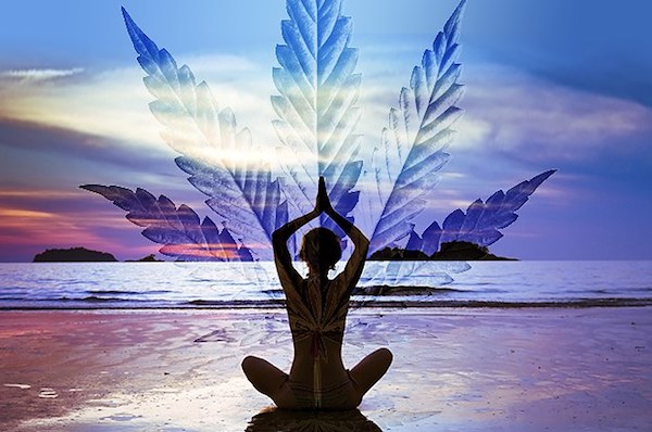 what-its-like-to-go-to-weed-yoga-2-11417-1426267332-14_dblbig