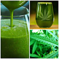 juicing cannabis feature