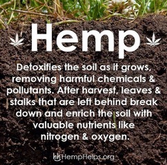 Hemp History Week