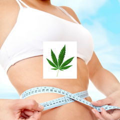 weed for weight loss feature